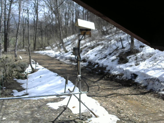 長野県菅平高原 ゆたか山荘 南側 2026/03/29 11:45