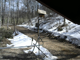 長野県菅平高原 ゆたか山荘 南側 2026/03/29 12:30