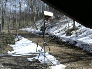 長野県菅平高原 ゆたか山荘 南側 2026/03/29 12:45