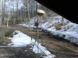 長野県菅平高原 ゆたか山荘 南側 2026/03/29 15:00