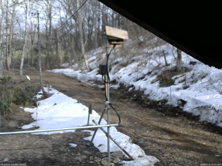 長野県菅平高原 ゆたか山荘 南側 2026/03/29 15:15