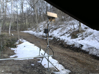 長野県菅平高原 ゆたか山荘 南側 2026/03/29 15:30