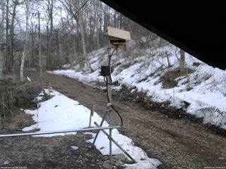 長野県菅平高原 ゆたか山荘 南側 2026/03/29 16:00