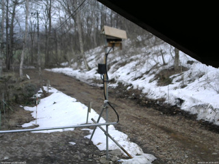 長野県菅平高原 ゆたか山荘 南側 2026/03/29 16:30