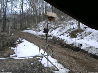 長野県菅平高原 ゆたか山荘 南側 2026/03/29 16:45
