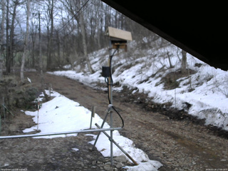長野県菅平高原 ゆたか山荘 南側 2026/03/29 17:00