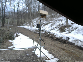 長野県菅平高原 ゆたか山荘 南側 2026/03/29 17:15