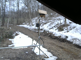 長野県菅平高原 ゆたか山荘 南側 2026/03/29 17:30