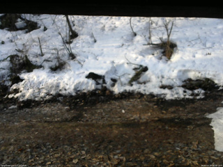 長野県菅平高原 ゆたか山荘 東側(坂下) 2026/03/29 06:45