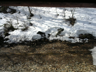 長野県菅平高原 ゆたか山荘 東側(坂下) 2026/03/29 08:45