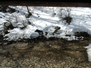 長野県菅平高原 ゆたか山荘 東側(坂下) 2026/03/29 09:00