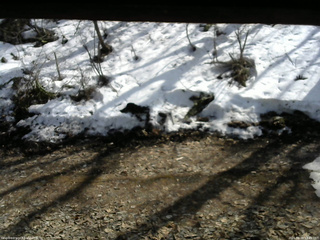 長野県菅平高原 ゆたか山荘 東側(坂下) 2026/03/29 13:45