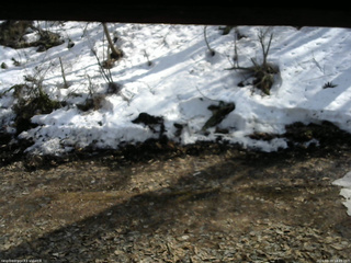 長野県菅平高原 ゆたか山荘 東側(坂下) 2026/03/29 14:15