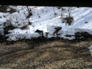 長野県菅平高原 ゆたか山荘 東側(坂下) 2026/03/29 14:45