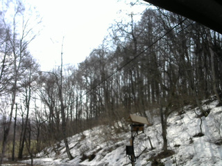 長野県菅平高原 ゆたか山荘 温度計 2026/03/29 09:45