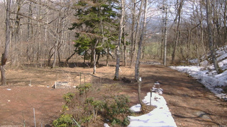 長野県菅平高原 ゆたか山荘 坂上 2026/03/29 13:15