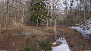 長野県菅平高原 ゆたか山荘 坂上 2026/03/29 15:30