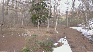 長野県菅平高原 ゆたか山荘 坂上 2026/03/29 15:45