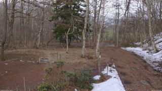 長野県菅平高原 ゆたか山荘 坂上 2026/03/29 16:00