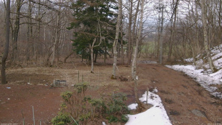 長野県菅平高原 ゆたか山荘 坂上 2026/03/29 16:30
