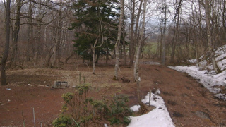 長野県菅平高原 ゆたか山荘 坂上 2026/03/29 16:45