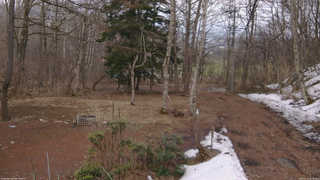 長野県菅平高原 ゆたか山荘 坂上 2026/03/29 17:00