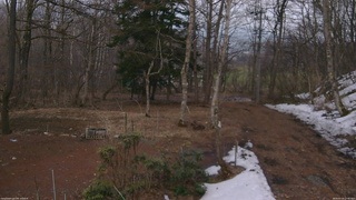 長野県菅平高原 ゆたか山荘 坂上 2026/03/29 17:45