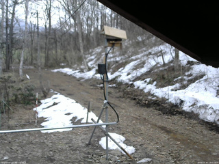 長野県菅平高原 ゆたか山荘 南側 2026/03/30 13:45