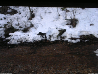 長野県菅平高原 ゆたか山荘 東側(坂下) 2026/03/30 06:15