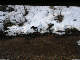 長野県菅平高原 ゆたか山荘 東側(坂下) 2026/03/30 06:30