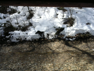 長野県菅平高原 ゆたか山荘 東側(坂下) 2026/03/30 10:45