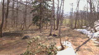 長野県菅平高原 ゆたか山荘 坂上 2026/03/30 08:30