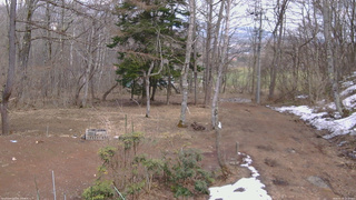 長野県菅平高原 ゆたか山荘 坂上 2026/03/30 13:15