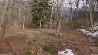 長野県菅平高原 ゆたか山荘 坂上 2026/03/30 15:00