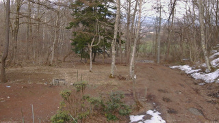 長野県菅平高原 ゆたか山荘 坂上 2026/03/30 17:00