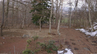 長野県菅平高原 ゆたか山荘 坂上 2026/03/30 17:30