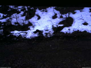 長野県菅平高原 ゆたか山荘 東側(坂下) 2026/03/31 05:30