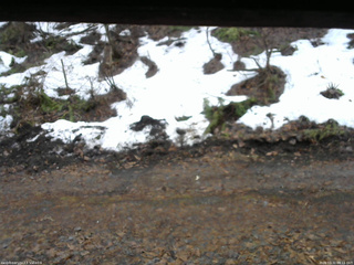 長野県菅平高原 ゆたか山荘 東側(坂下) 2026/03/31 08:15