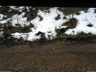 長野県菅平高原 ゆたか山荘 東側(坂下) 2026/03/31 08:45