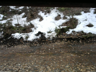 長野県菅平高原 ゆたか山荘 東側(坂下) 2026/03/31 11:15