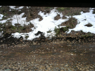 長野県菅平高原 ゆたか山荘 東側(坂下) 2026/03/31 11:45