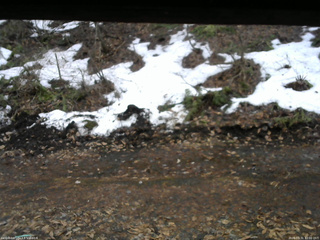 長野県菅平高原 ゆたか山荘 東側(坂下) 2026/03/31 12:00