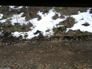 長野県菅平高原 ゆたか山荘 東側(坂下) 2026/03/31 12:15