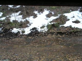 長野県菅平高原 ゆたか山荘 東側(坂下) 2026/03/31 13:30