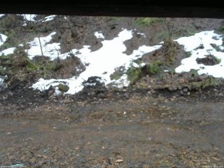 長野県菅平高原 ゆたか山荘 東側(坂下) 2026/03/31 15:15