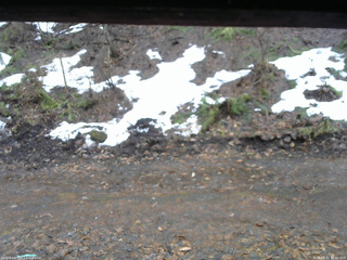 長野県菅平高原 ゆたか山荘 東側(坂下) 2026/03/31 15:30