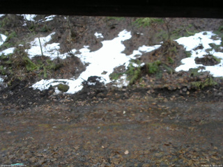 長野県菅平高原 ゆたか山荘 東側(坂下) 2026/03/31 16:15