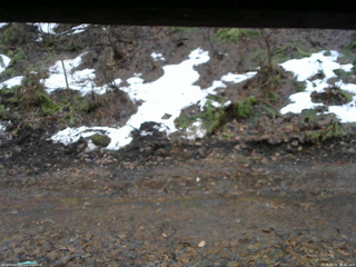 長野県菅平高原 ゆたか山荘 東側(坂下) 2026/03/31 16:45