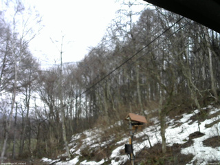 長野県菅平高原 ゆたか山荘 温度計 2026/03/31 08:45