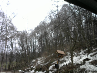 長野県菅平高原 ゆたか山荘 温度計 2026/03/31 10:15